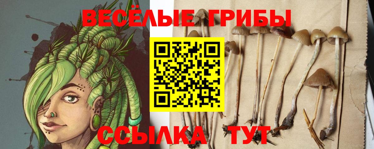 Галлюциногенные грибы ЛСД Дальнегорск