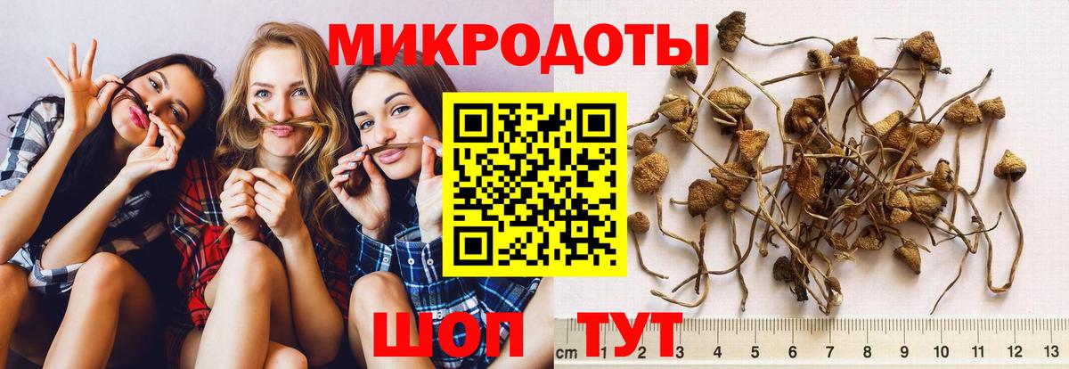 Псилоцибиновые грибы Magic Shrooms  Вход с VPN  Дальнегорск  где купить наркотик  Псилоцибиновые грибы Magic Shrooms 